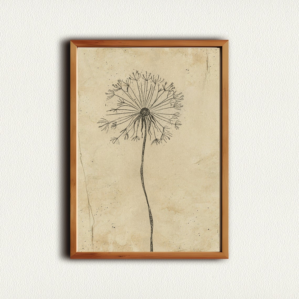 Dandelion Seed Head Fine Ink Line Sketch On Vintage Botanical Wall Art - Image 2