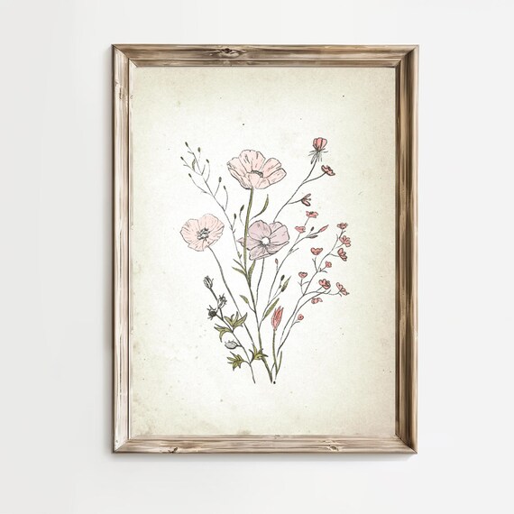 Pink Poppies with Tiny Buds in Vintage Botanical Sketch Art Print