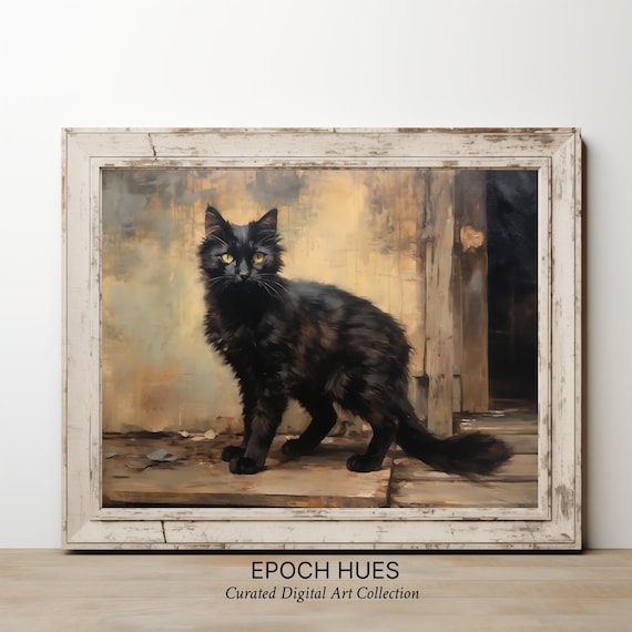 Black Long Haired Cat With Golden Eyes Rustic Porch Portrait Poster