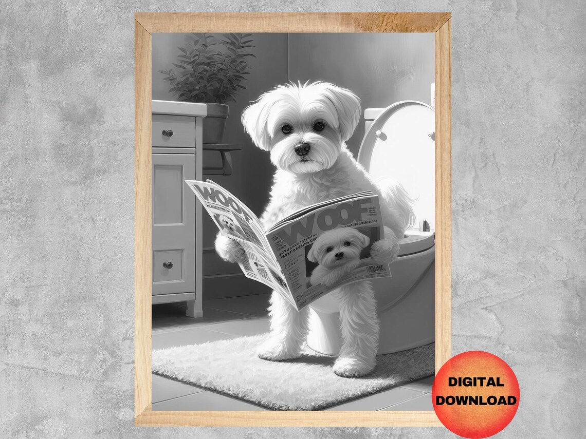 Maltese Dog On Toilet, Funny Bathroom Poster