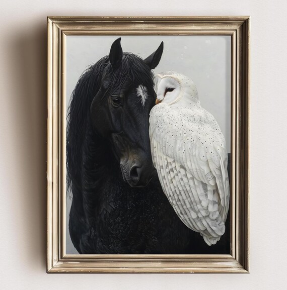 Black Horse White Barn Owl Gentle Portrait Moody Animal Art Poster