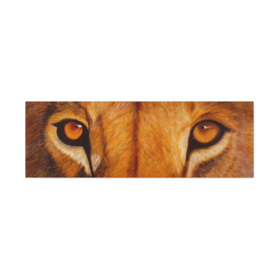 Majestic Lion Eyes Close Up Panoramic Wildlife Big Cat Wall Poster - Image 5
