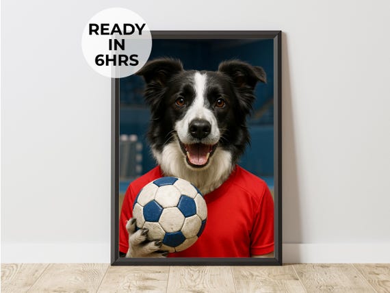 Custom Handball Pet Portrait Funny Indoor Sports Gift Art