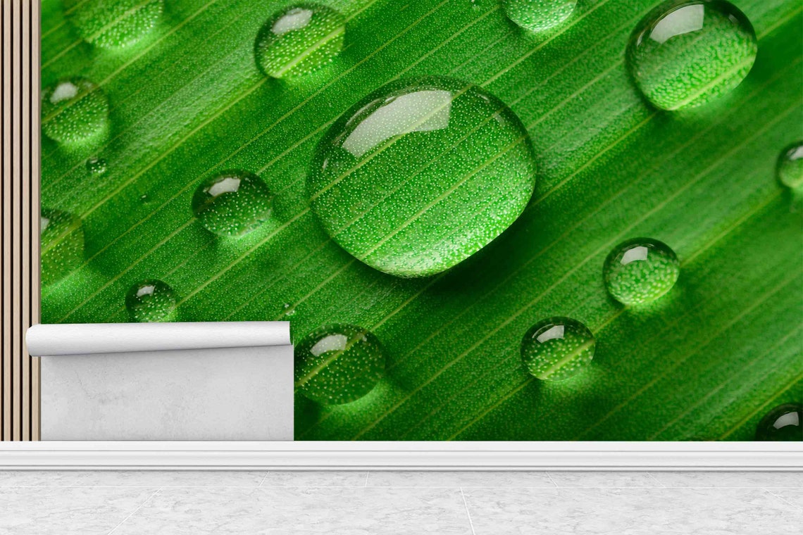 Water Droplets on Green Leaf Macro Nature Photography Poster - Image 2