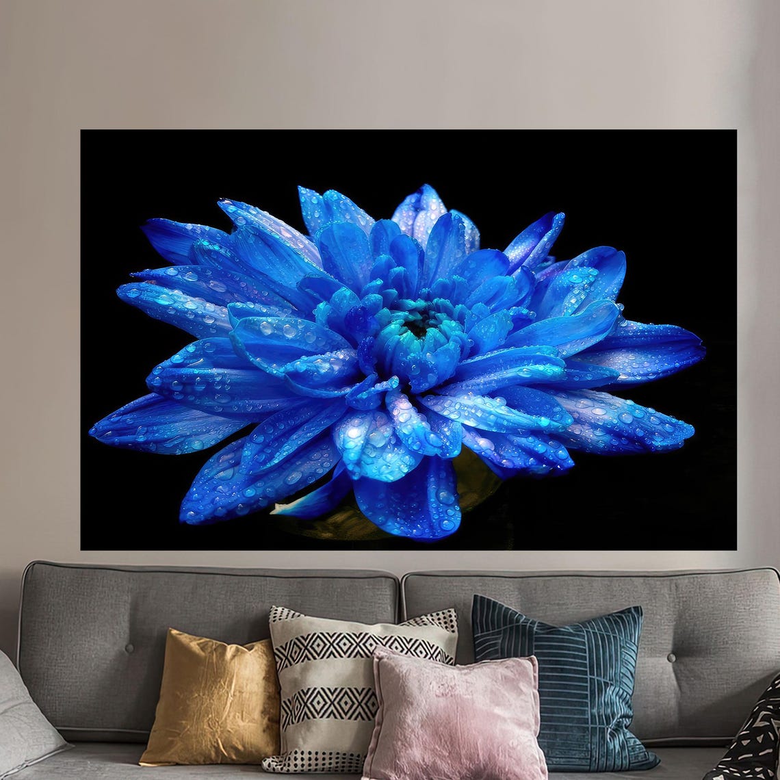 Vivid Blue Chrysanthemum With Dewdrops On Black Floral Poster