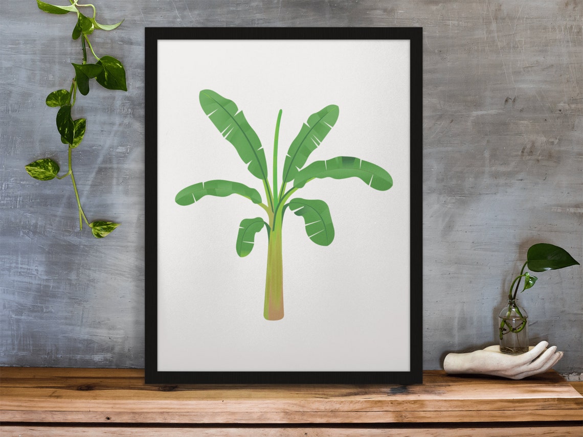 Banana Palm Tree Tropical Botanical Illustration Wall Decor Poster - Image 7