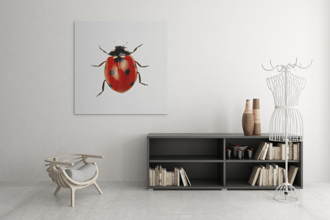 Red Ladybug Macro Photo Cute Nursery Bug Insect Nature Poster - Image 7