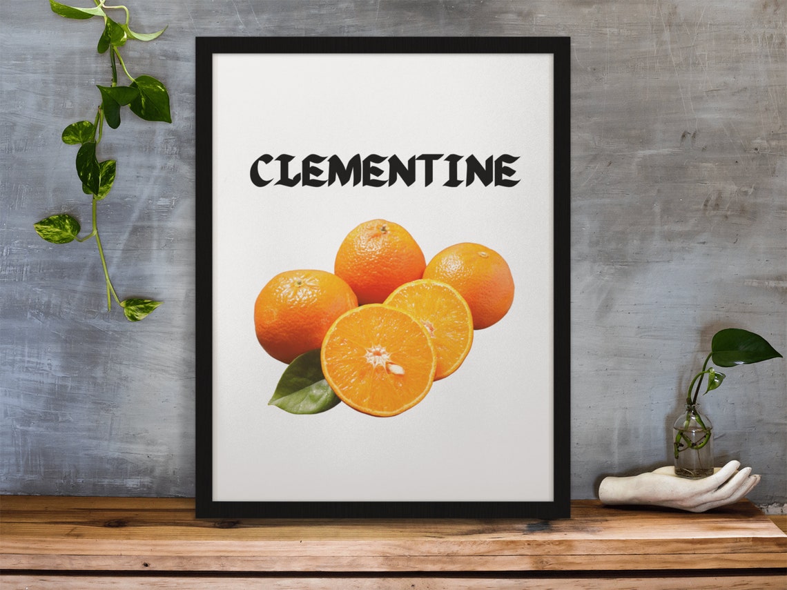 Clementine Citrus Fruit Illustration Modern Kitchen Wall Decor Poster - Image 4
