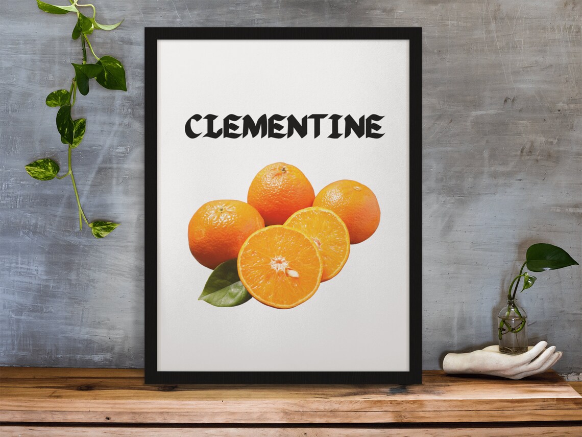 Clementine Fruit Prints Kitchen Art Print Homeschool Print Nursery Room School - Image 4