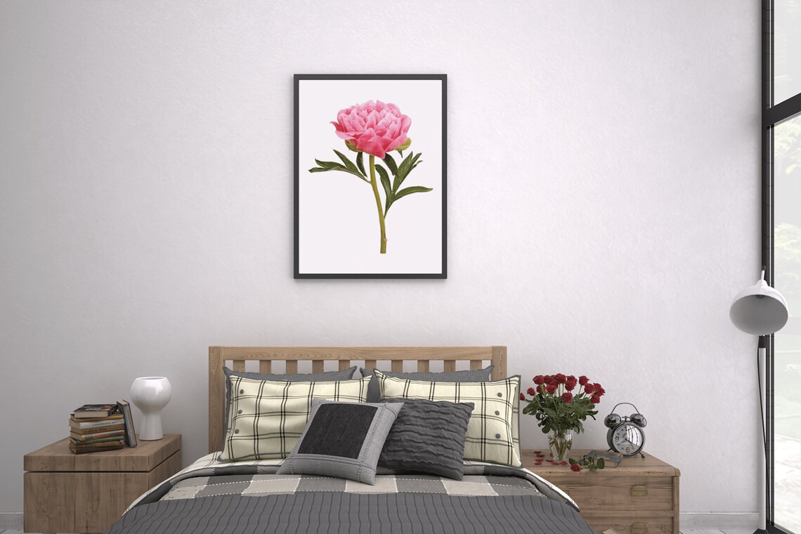Pink Peony Blossom Botanical Photo White Background Floral Poster - Image 2