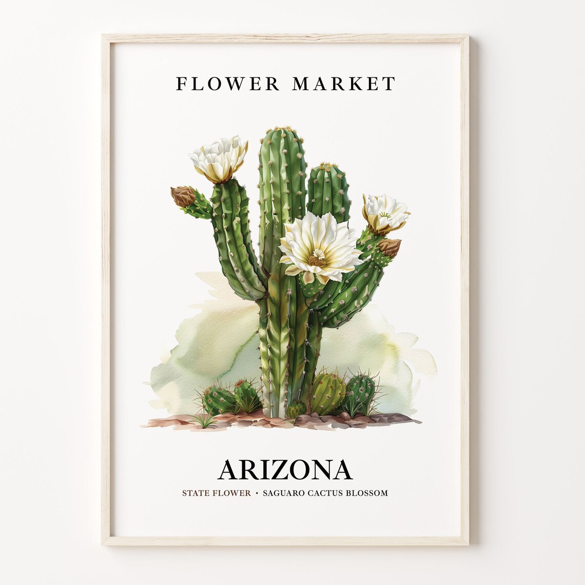 Arizona State Flower 1960s Botanical Poster