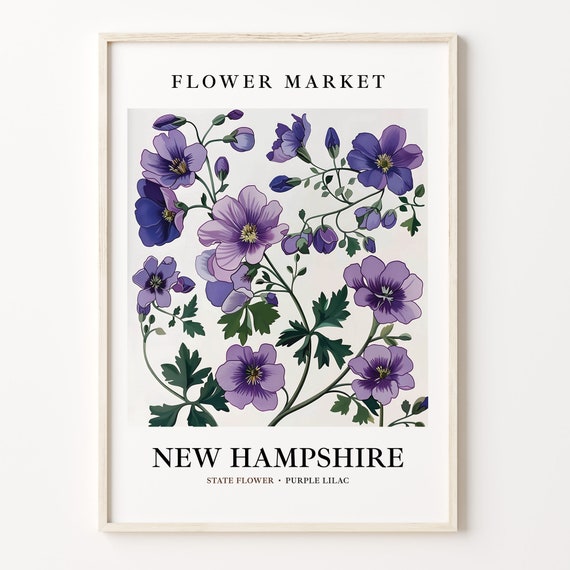 New Hampshire State Flower Art Print, 1960s Lilac
