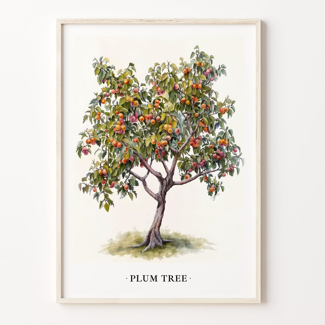 Plum Tree Botanical Watercolor Fruit Tree Kitchen Decor Poster