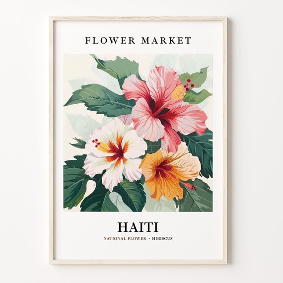 Haiti Flower Market Art Print, Hibiscus Botanical Decor