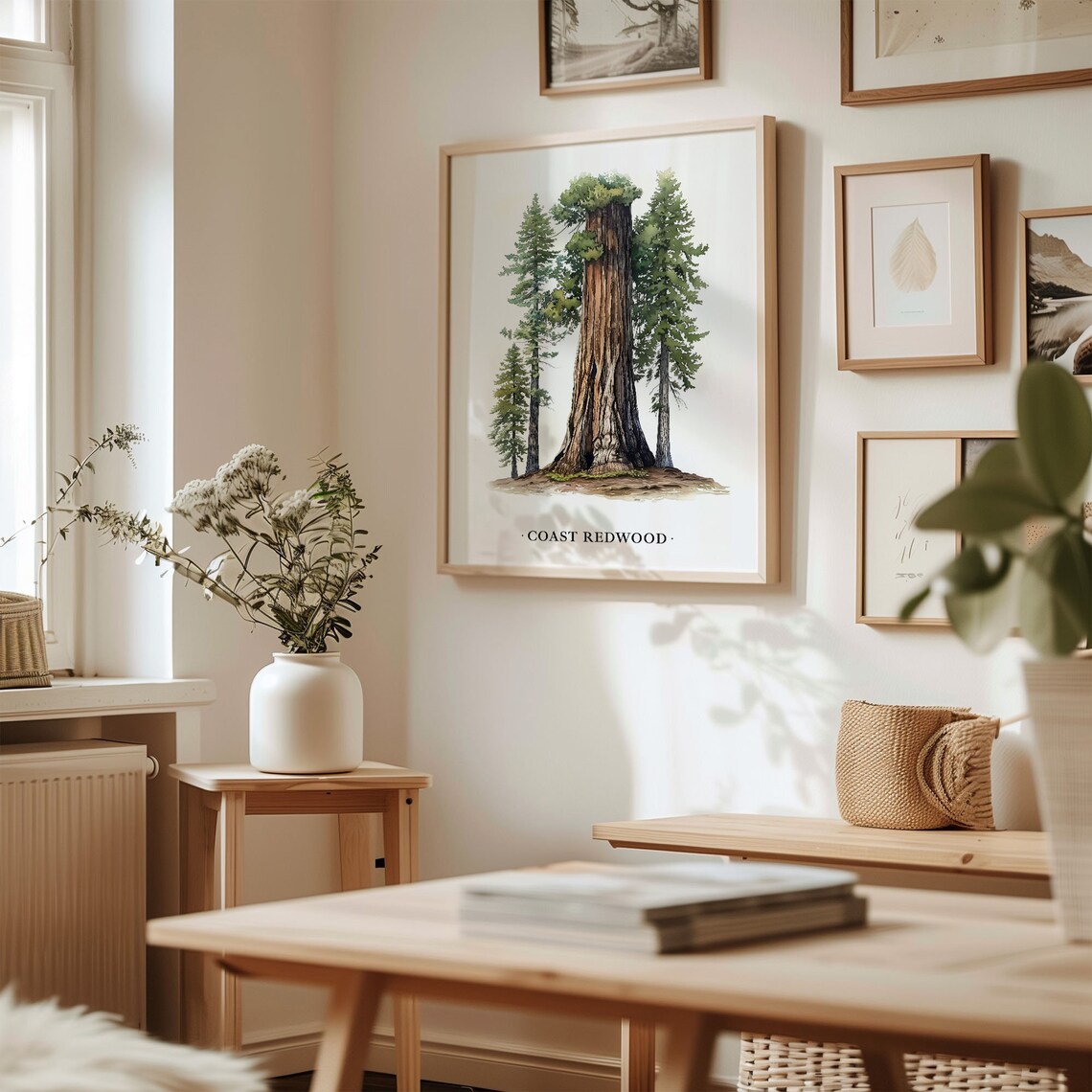 Coast Redwood Giant Tree Watercolor Botanical Forest Nature Wall Art - Image 2