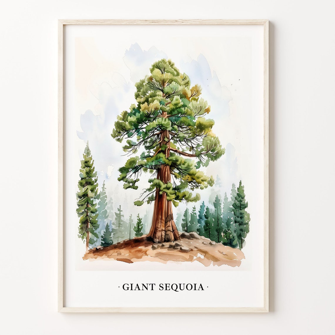 Giant Sequoia Tree Watercolor Forest Mountain Nature Art Poster