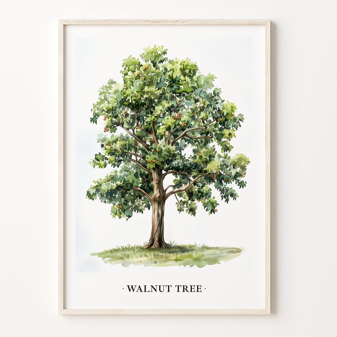 Walnut Tree Watercolor Botanical Illustration Nature Home Decor Poster
