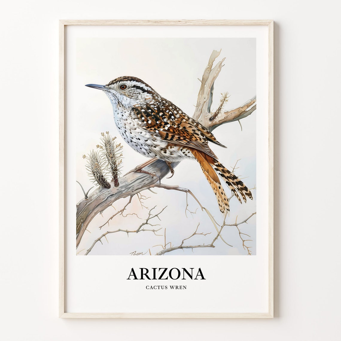 Desert Arizona Cactus Wren Watercolor Bird Illustration Poster