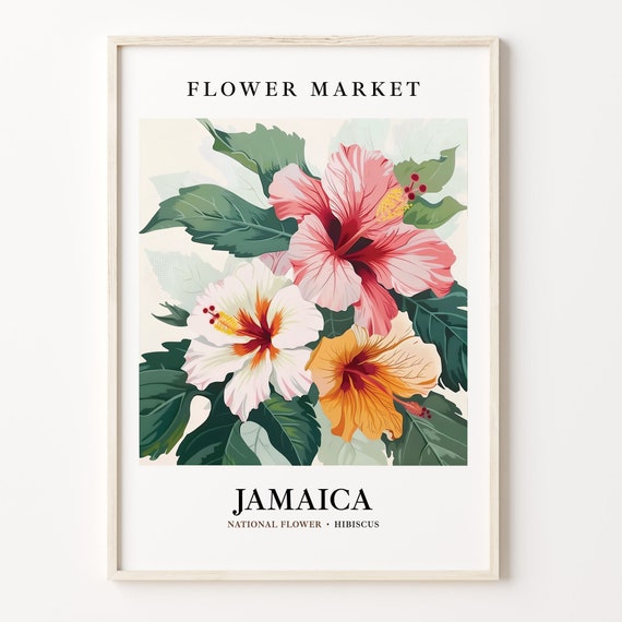 Jamaica Flower Market Hibiscus Botanical Art Print