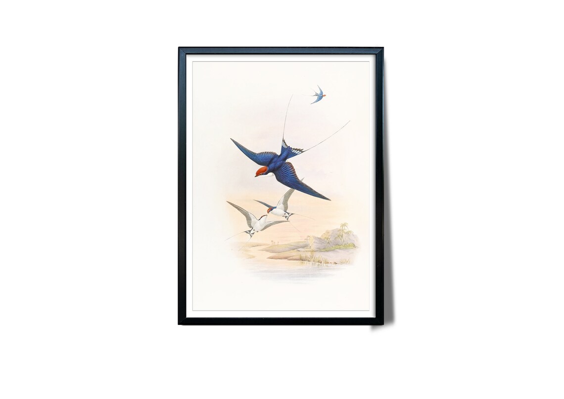 Swallows in Flight Vintage Bird Illustration Over Water Wall Art - Image 3