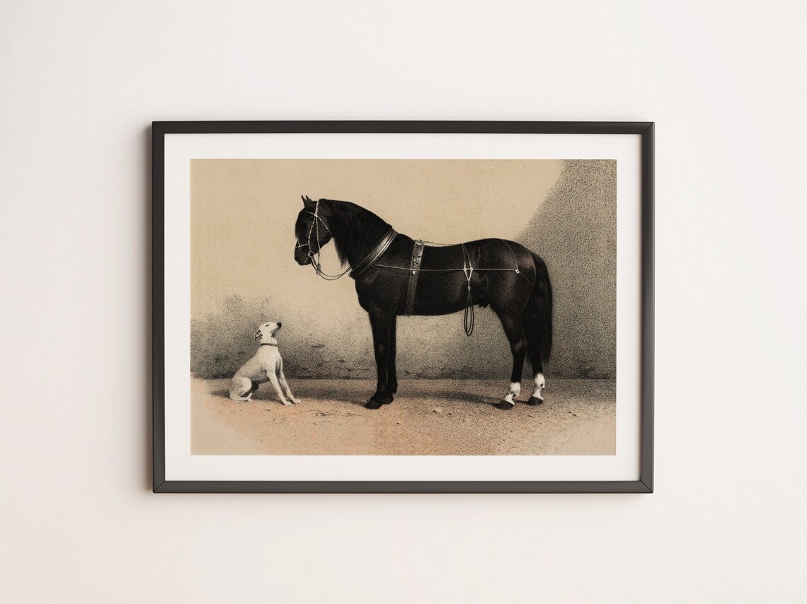 Black Horse Prints Vintage Dog and Horse Art Print - Image 3
