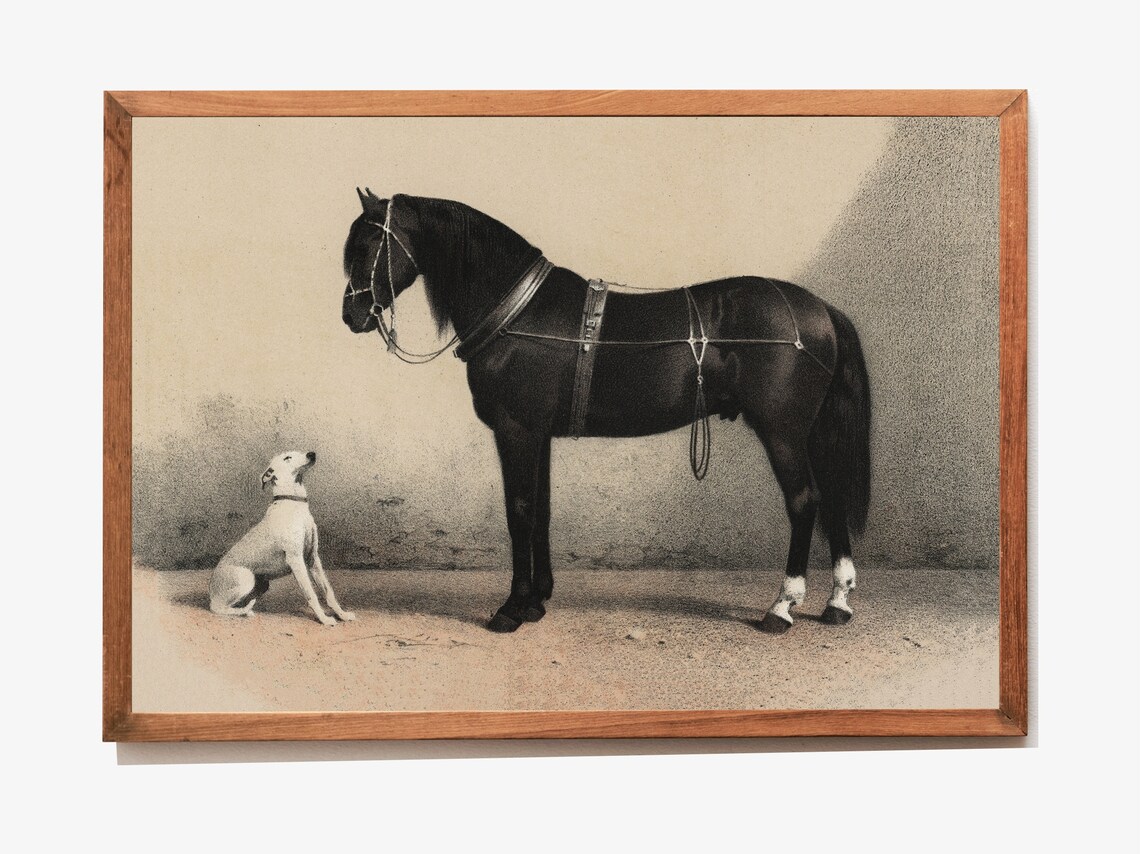 Black Horse Prints Vintage Dog and Horse Art Print - Image 2
