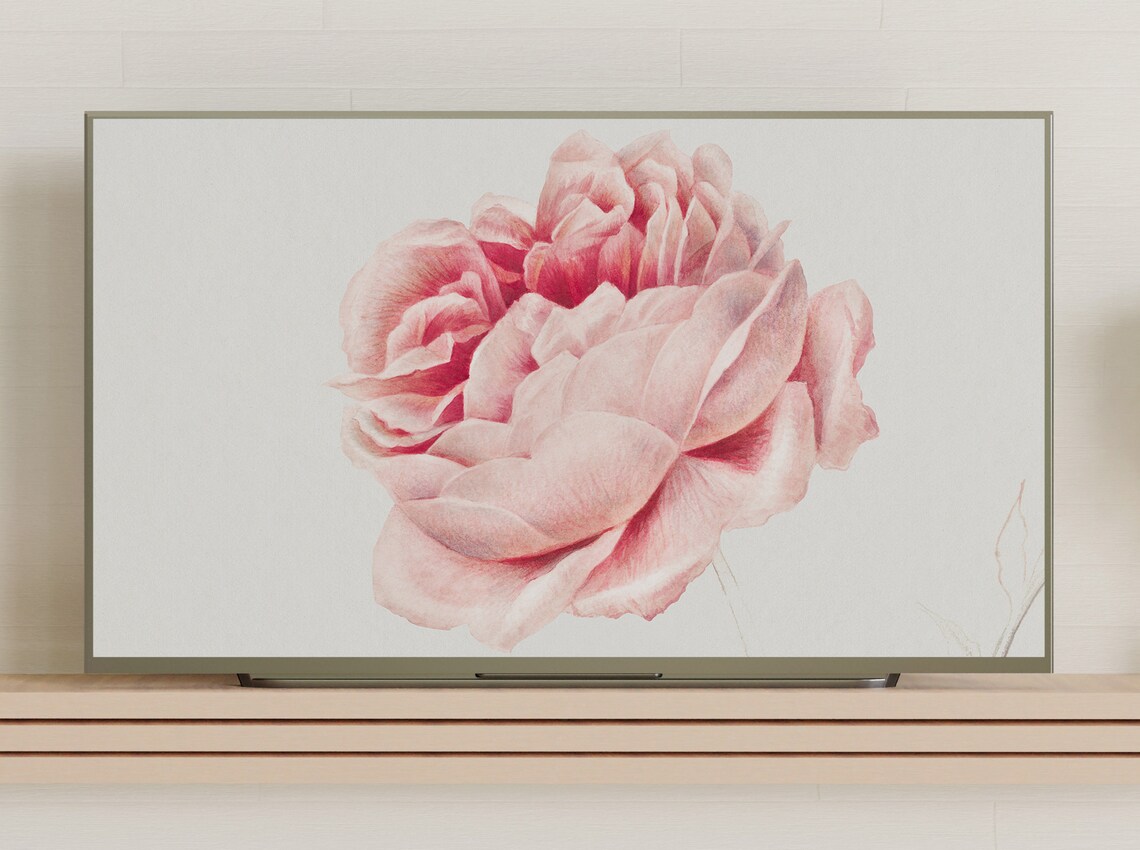 Vintage Rose Paintings of the Netherlands, Art Print - Image 3