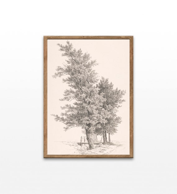 Sketches Of Trees Vintage Tree Drawings Rustic Home Decor Prints Wall Art