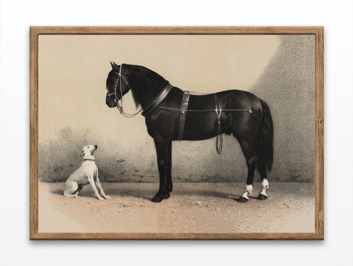 Black Horse Prints Vintage Dog and Horse Art Print