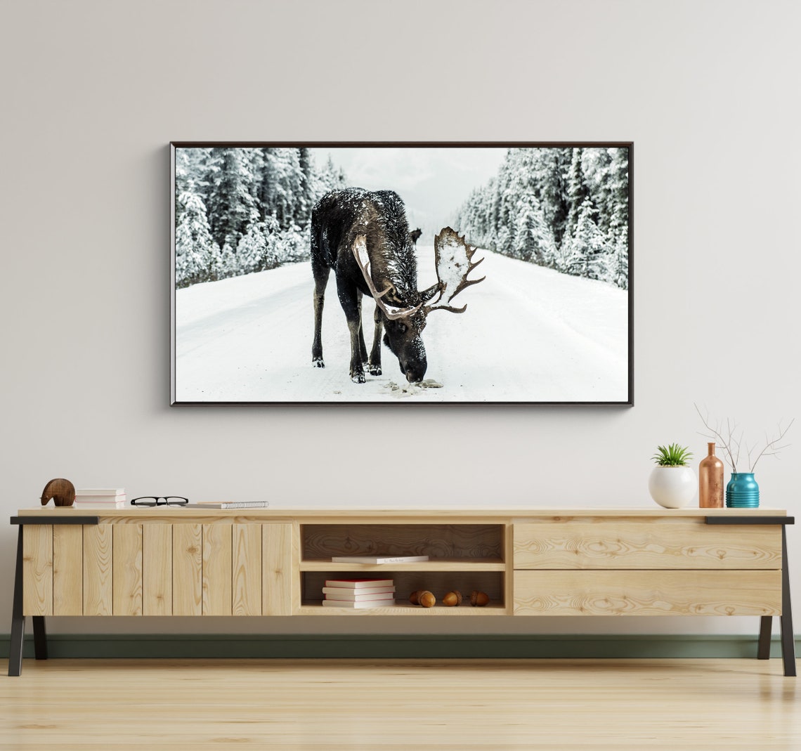 Winter Moose Walking Snowy Road Pine Forest Wildlife Photo Art Print - Image 4