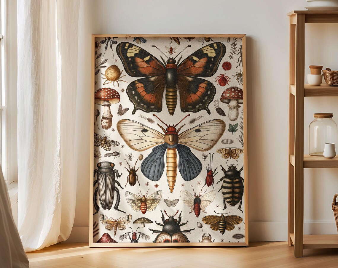 Vintage Entomology Chart With Moths Beetles And Mushrooms Wall Art