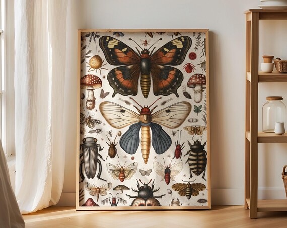 Vintage Entomology Chart With Moths Beetles And Mushrooms Wall Art
