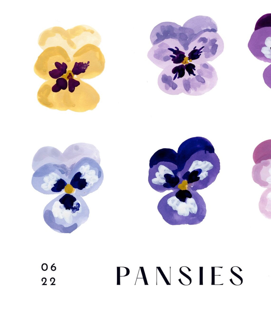 Pansies Botanical Flower Watercolor Art Print - Image 4