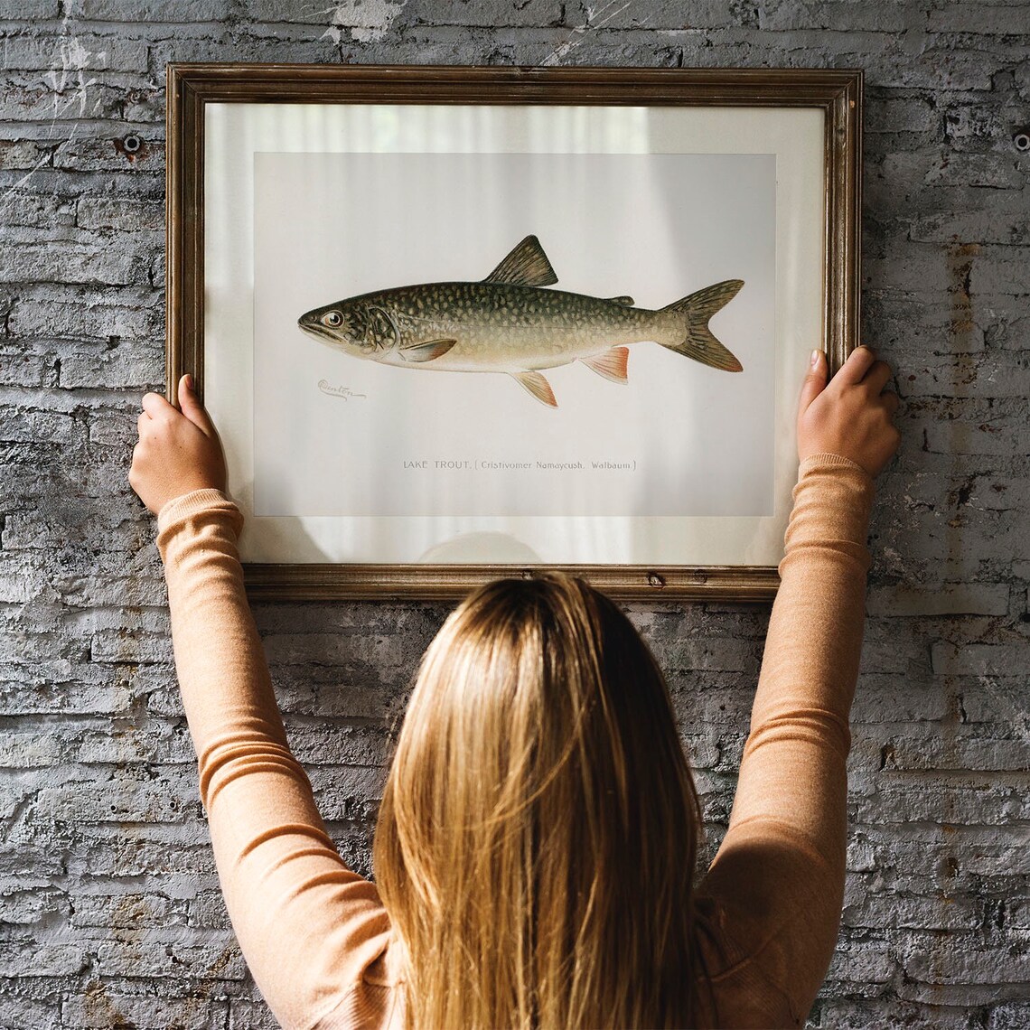 Lake Trout Vintage Fishing Poster Art Print - Image 3