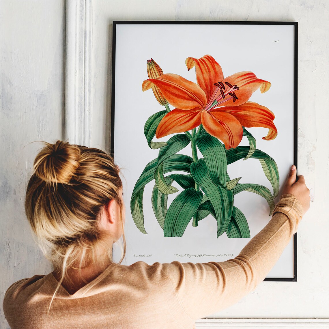 Orange Lily Vintage Botanical Poster Print - Image 3