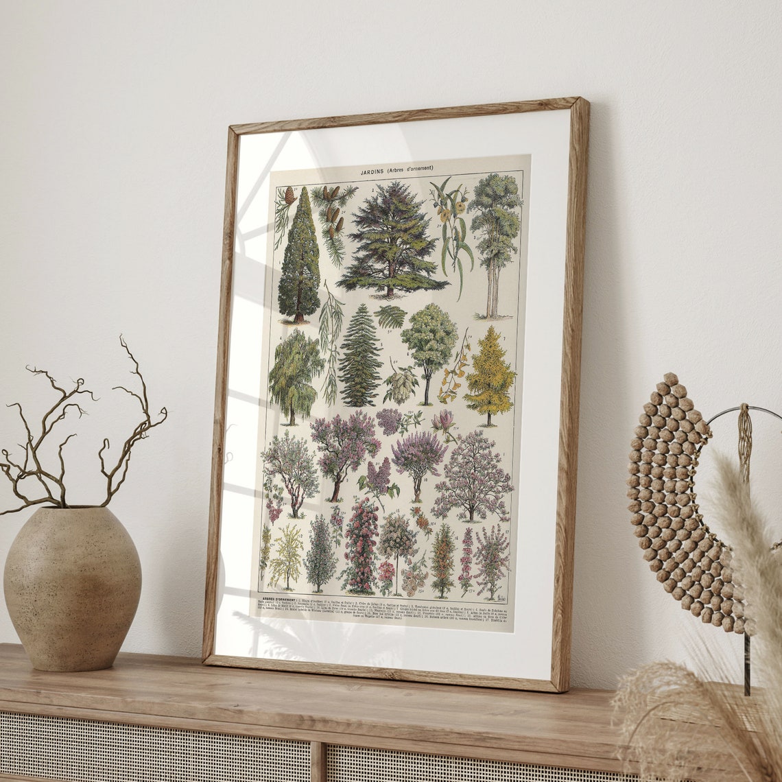 Vintage French Tree Chart Jardins Ornamental Botanical Study Poster - Image 4