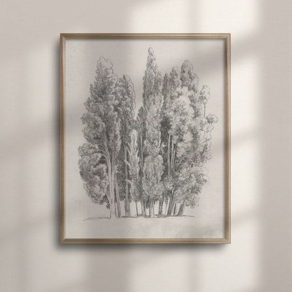 Antique Tree Etching Sketch Vintage Nature Drawing Minimalist Neutral Wall Art Bathroom Decor C16 790