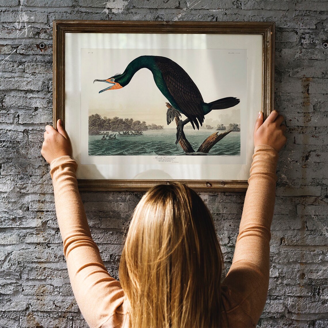 Cormorant Print, Antique Bird Painting Vintage Drawing - Image 3