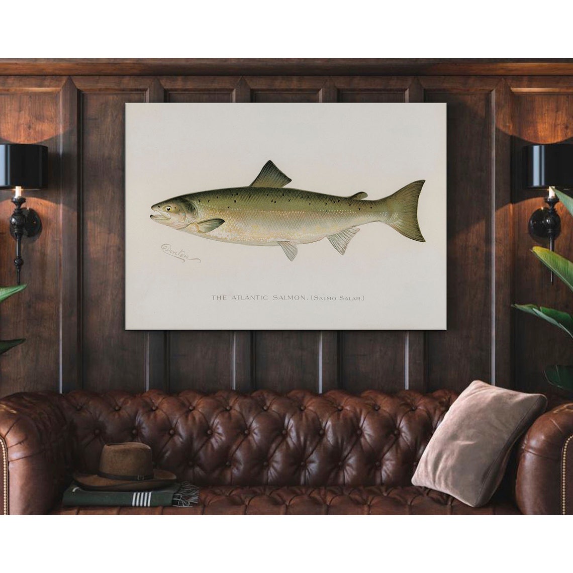 Atlantic Salmon Salmo Salar Vintage Fish Illustration Nautical Poster - Image 4