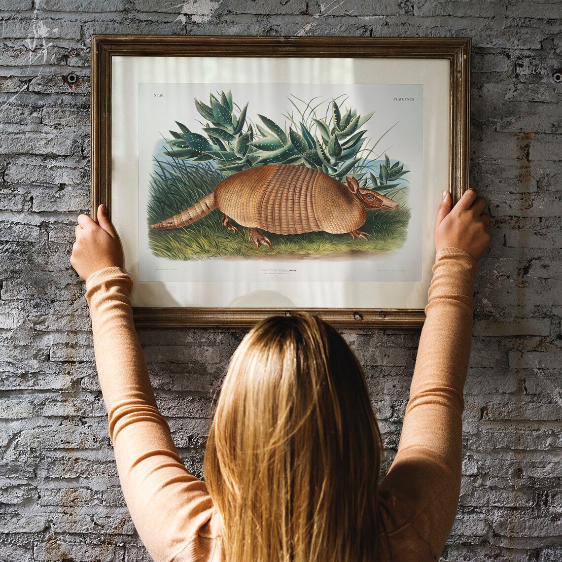 Antique Armadillo Vintage Animal Art Print - Image 3