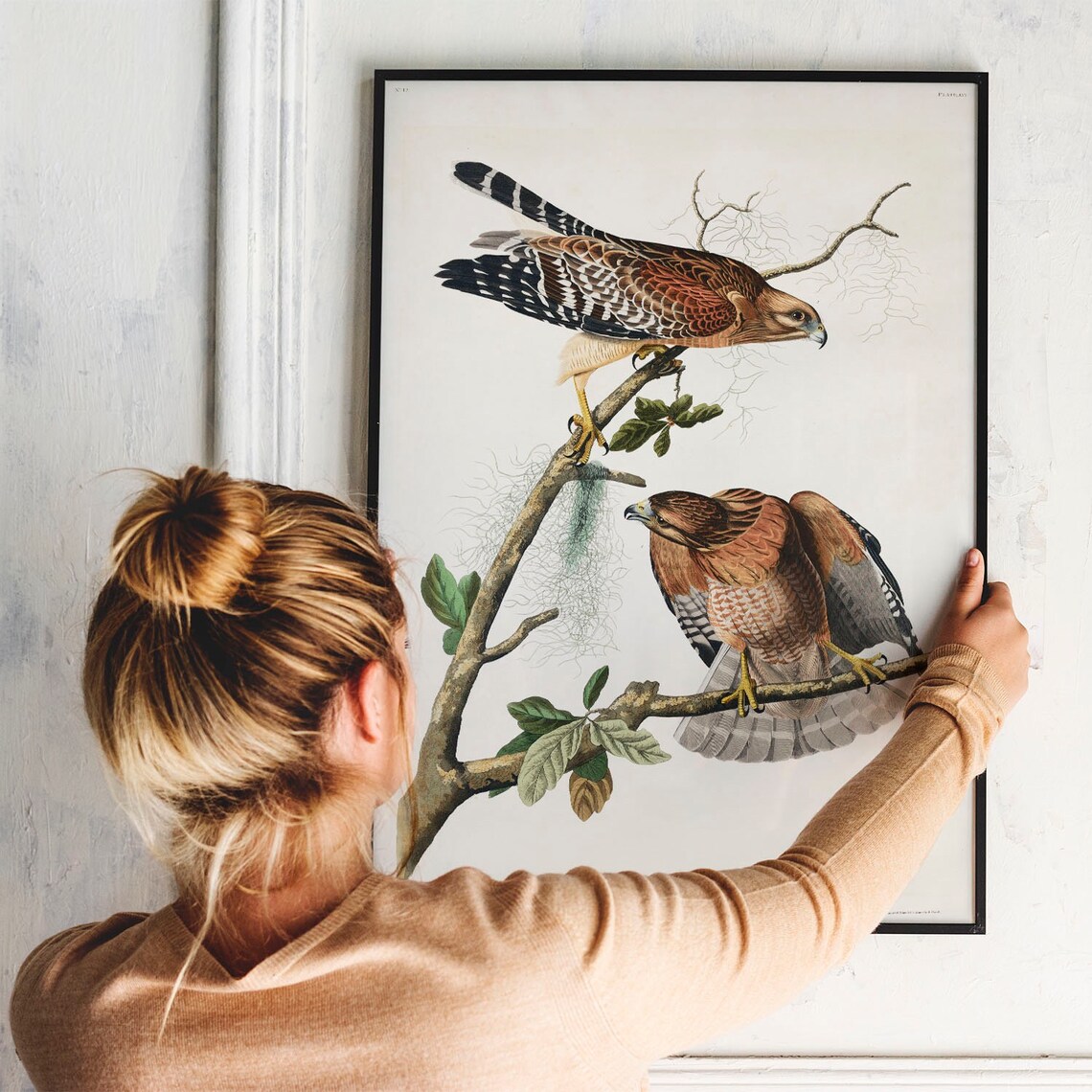 Hawk Print, Vintage Bird Drawing Art Print - Image 2