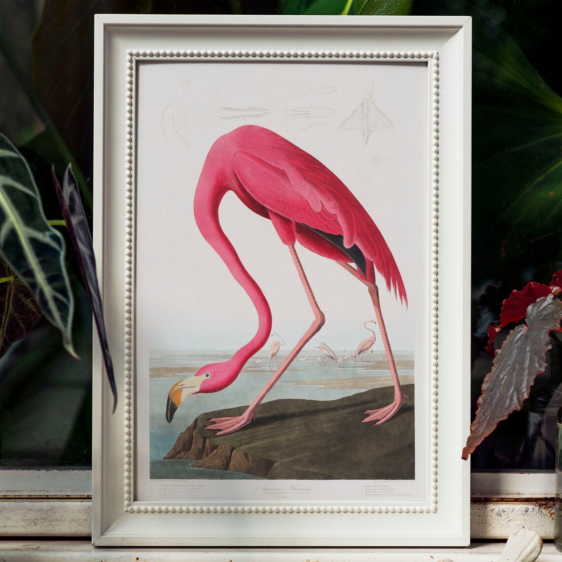 Flamingo Print, Vintage Bird Drawing Art Print - Image 3