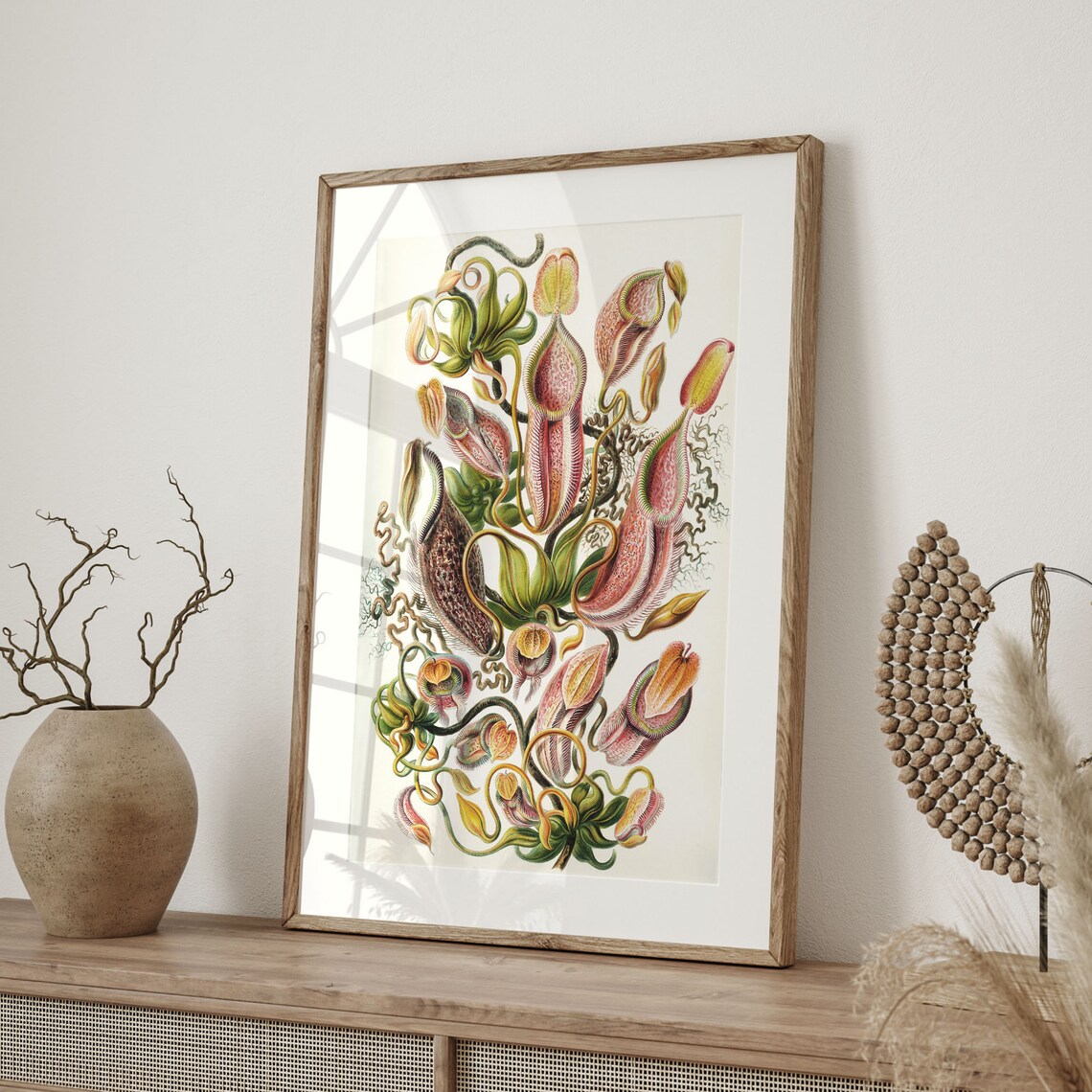 Ernst Haeckel Pitcher Plant Botanical Art Poster - Image 4