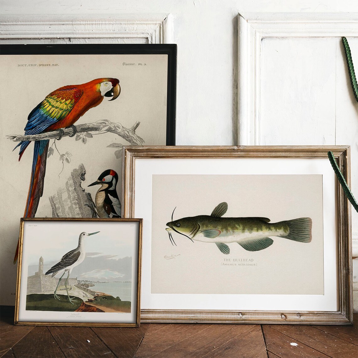 Bullhead Fish Vintage Fishing Poster, Fish Drawing - Image 2