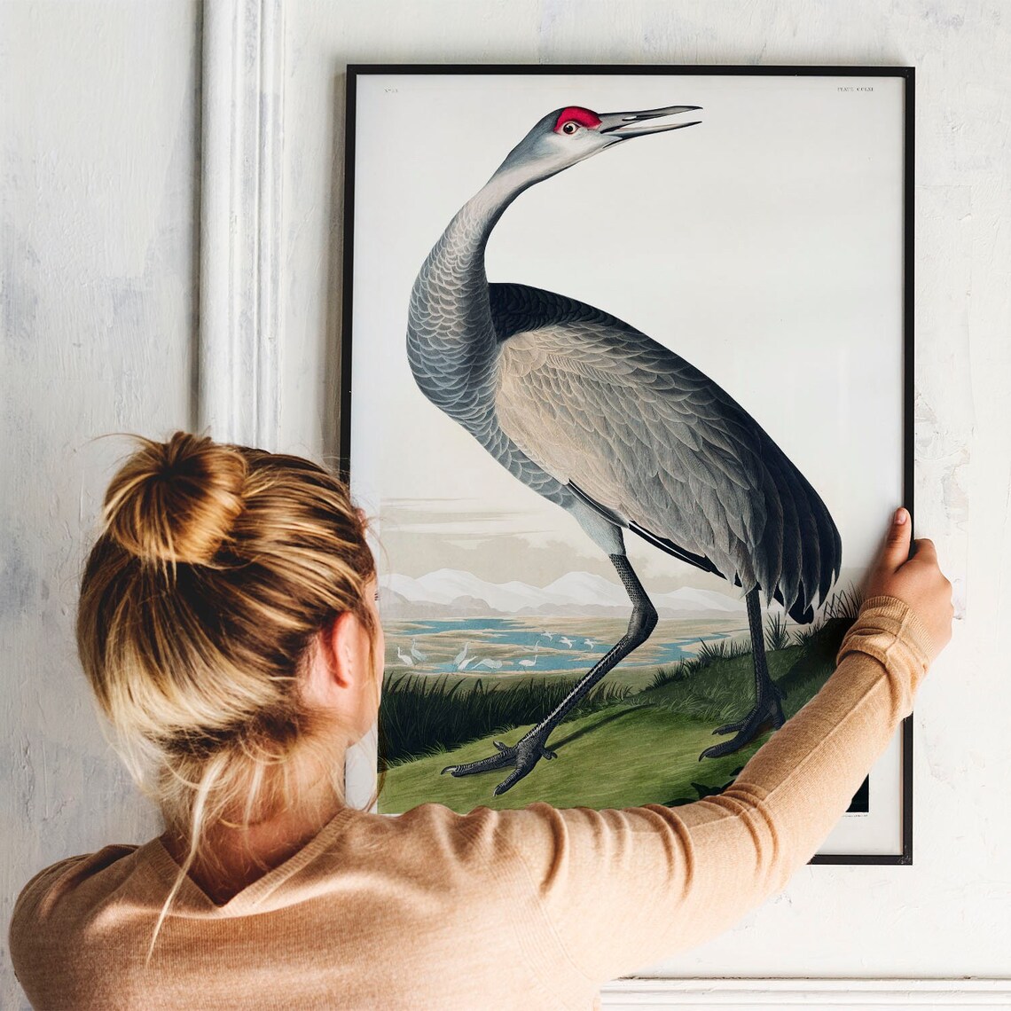 Crane Bird Antique Vintage Drawing Art Print - Image 3
