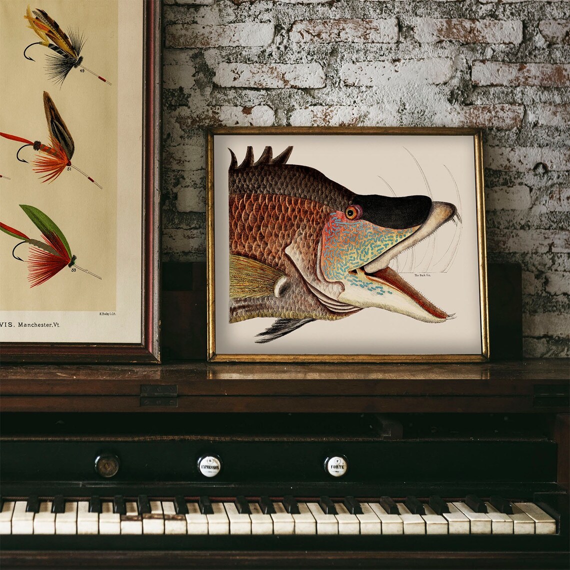 Grat Hog Fish Antique Illustration Vintage Poster - Image 4
