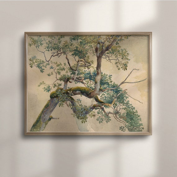 Antique Tree Vintage Botanical Watercolor Art Print