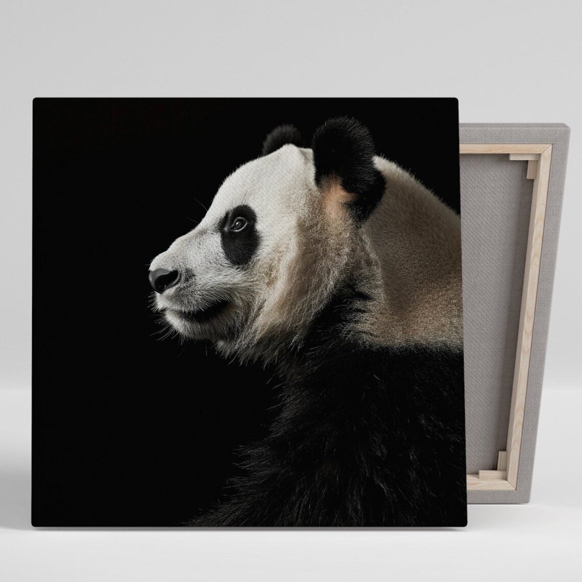 Giant Panda Profile Portrait Dramatic Black Background Photo Realism Poster