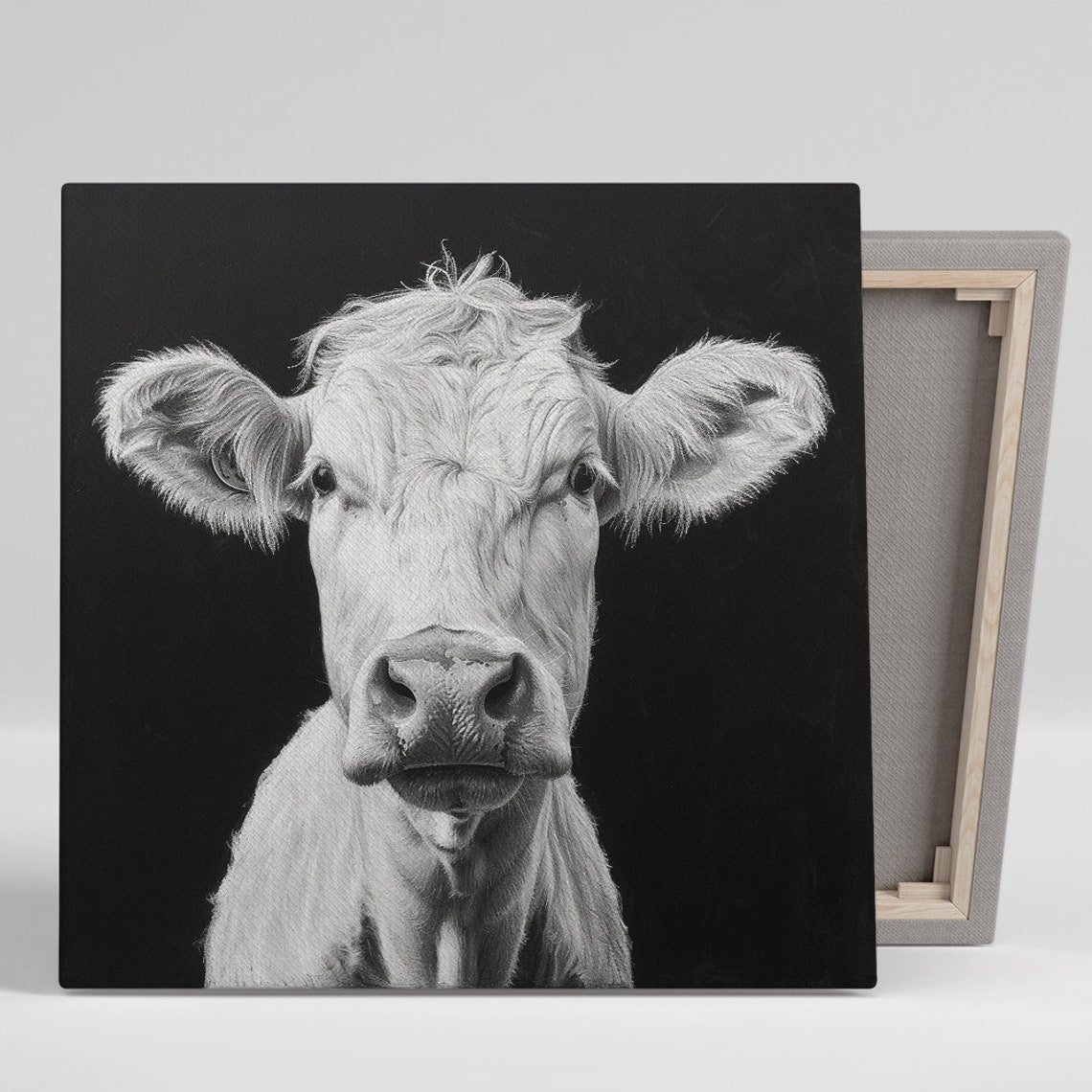 White Cow Portrait Black and White Minimalist Farm Animal Wall Art