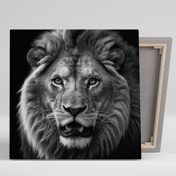 Majestic Lion Black White Monochrome Face Close Up Powerful Animal Art